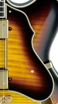 PICKGUARD ARTCORE       IBANEZ