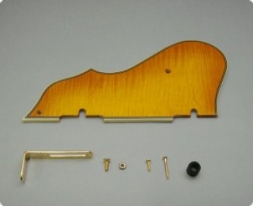 PICKGUARD ARCTCORE      IBANEZ