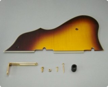 PICKGUARD ARCTCORE      IBANEZ