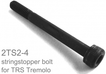 STRING STOPPER BOLT     IBANEZ