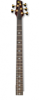 NECK SR5005E 5-STR.     IBANEZ