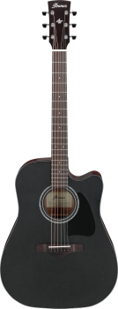 Ibanez AW247CE-WKH