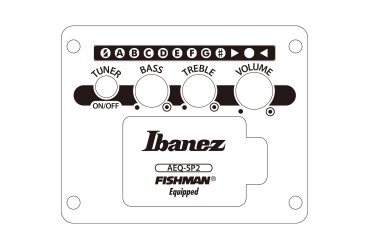 Ibanez AEWC621-BOT