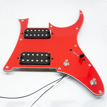 PICKGUARD ASSY          IBANEZ