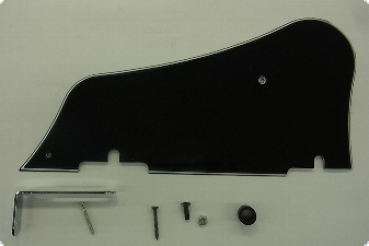 PICKGUARD ARTC.AF/20F   IBANEZ