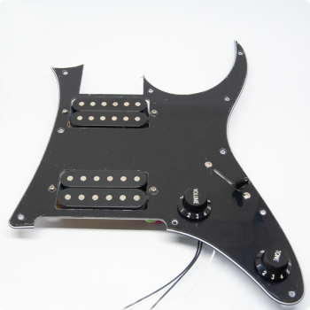 PICKGUARD ASSY          IBANEZ