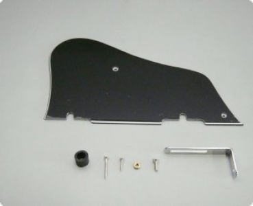 PICKGUARD ARCTCORE      IBANEZ