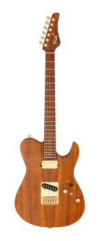 FGN E-Gitarre, Expert Iliad EW, Vintage Natural, Koffer