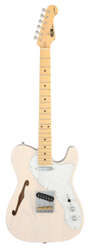 FGN E-Gitarre, Neo Classic TE100, SS FGN Pickups, F-Loch, White Blonde