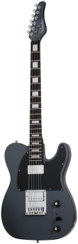 SCHECTER E-Gitarre, PT EX, Dorian Grey