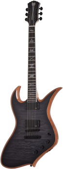 SCHECTER E-Gitarre, Wylde Audio, Thoraxe, Trans Black Burst