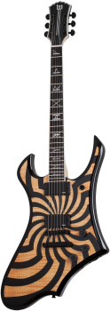 SCHECTER E-Gitarre, Wylde Audio, Goregehn, Rawtop Bullseye