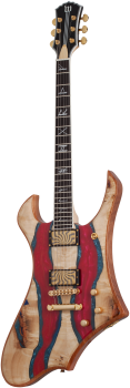 SCHECTER E-Gitarre, Wylde Audio, Goregehn, Blood River Burl