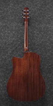 Ibanez AAD170CE-LGS