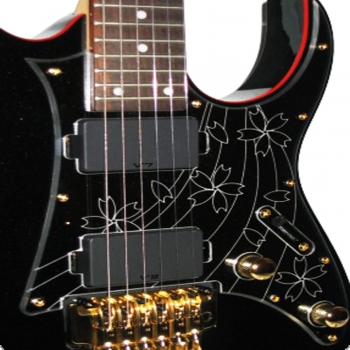 PICKGUARD RG08LTD       IBANEZ