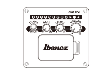 Ibanez AE160-VMS