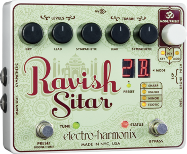 RAVISH SITAR