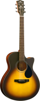 PLYTONE SERIES - EAC GRAND AUDITORIUM SUNBURST