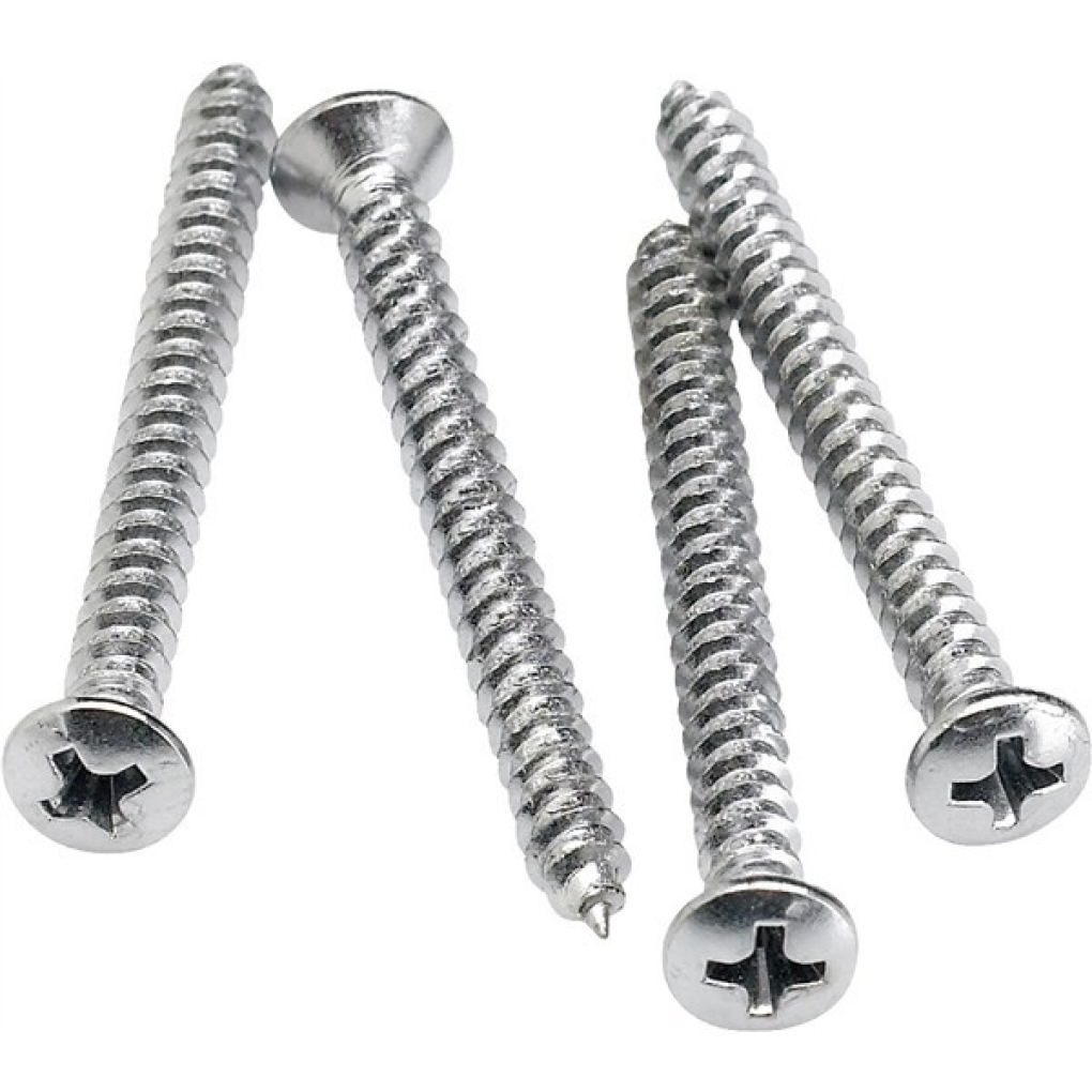 Neck Mounting Screws 4-pack (Chrome)