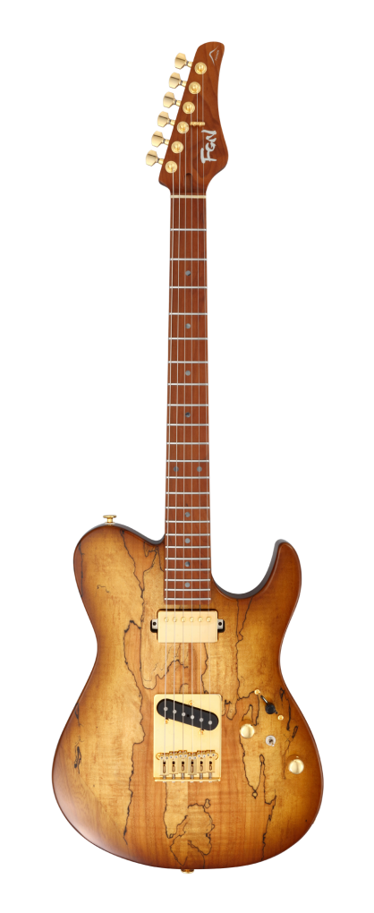 FGN E-Gitarre, Expert Iliad EW, Hojicha Burst, Koffer