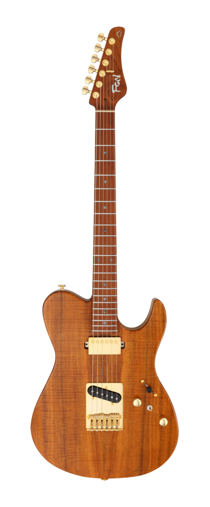 FGN E-Gitarre, Expert Iliad EW, Vintage Natural, Koffer