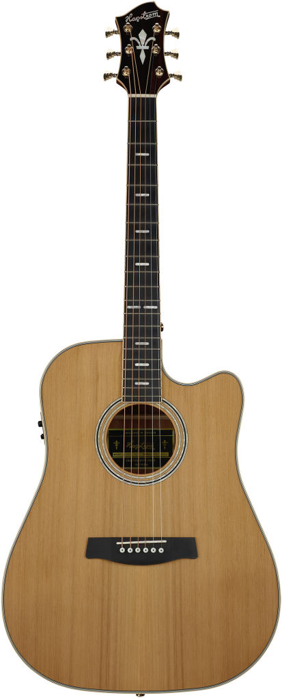 HAGSTROM Westerngitarre, Elfdalia II, Dreadnought, Natural