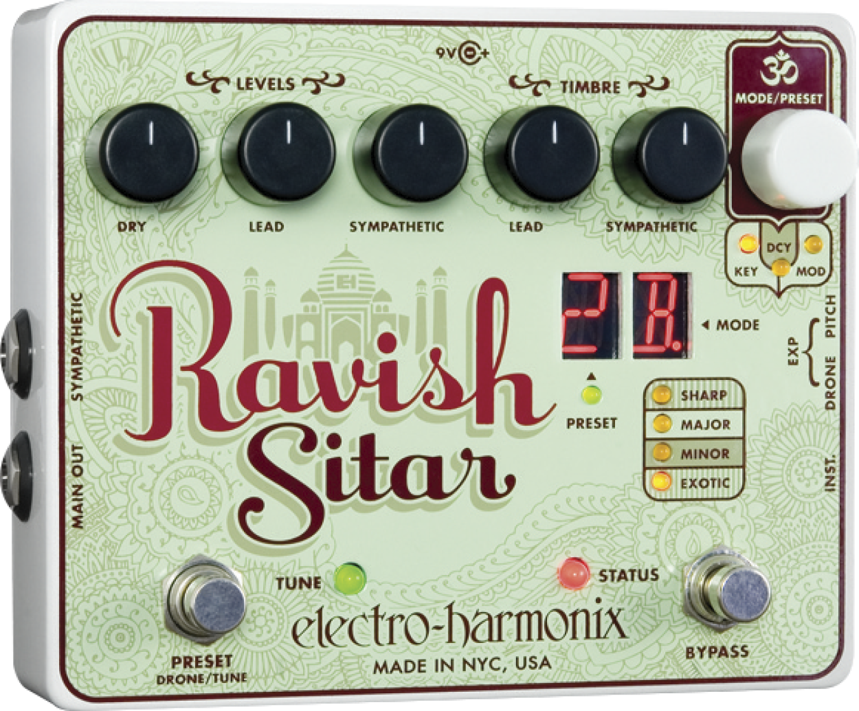 RAVISH SITAR