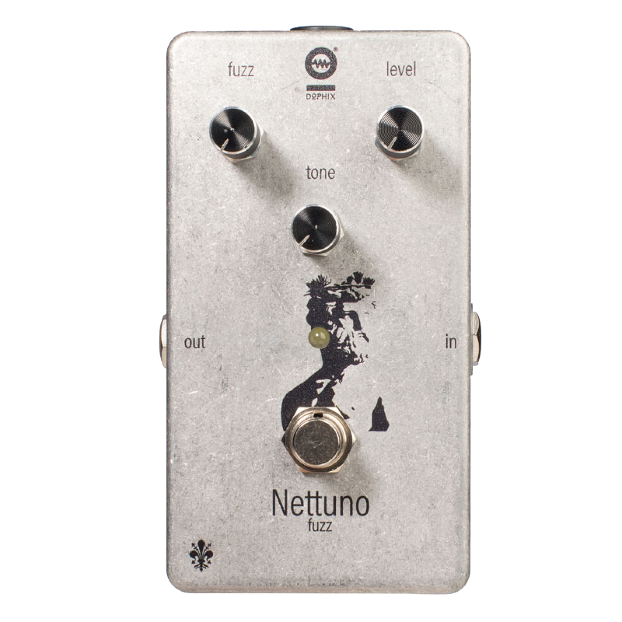 NETTUNO fuzz